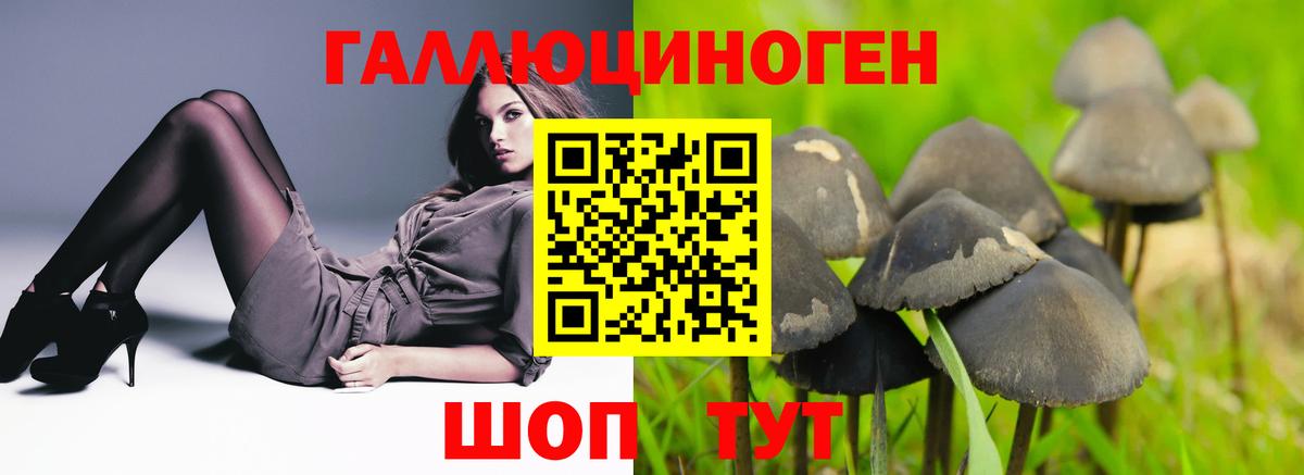 где продают наркотики  Галлюциногенные грибы Psilocybe  Вход с VPN  Чехов 